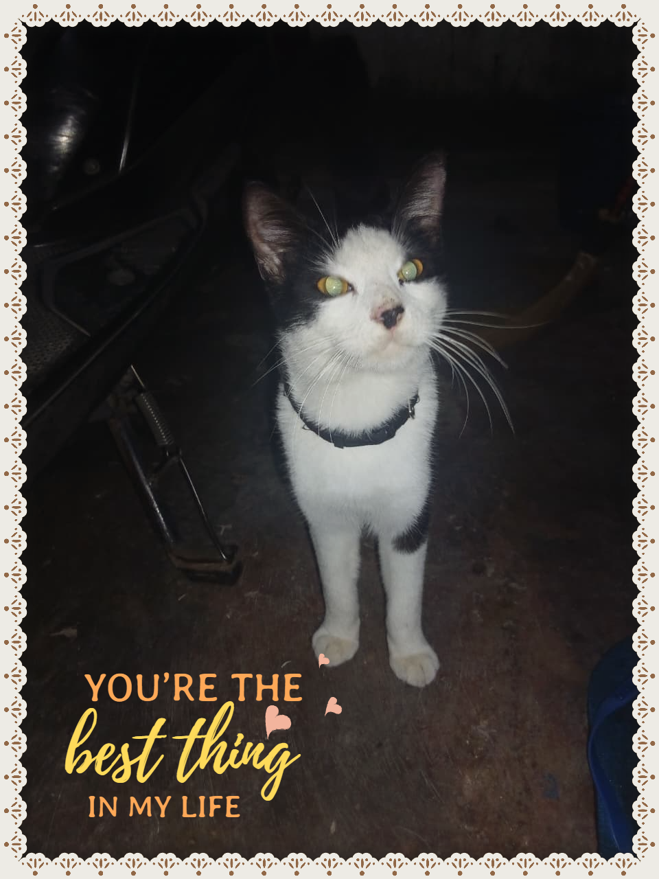Photo 17 Image