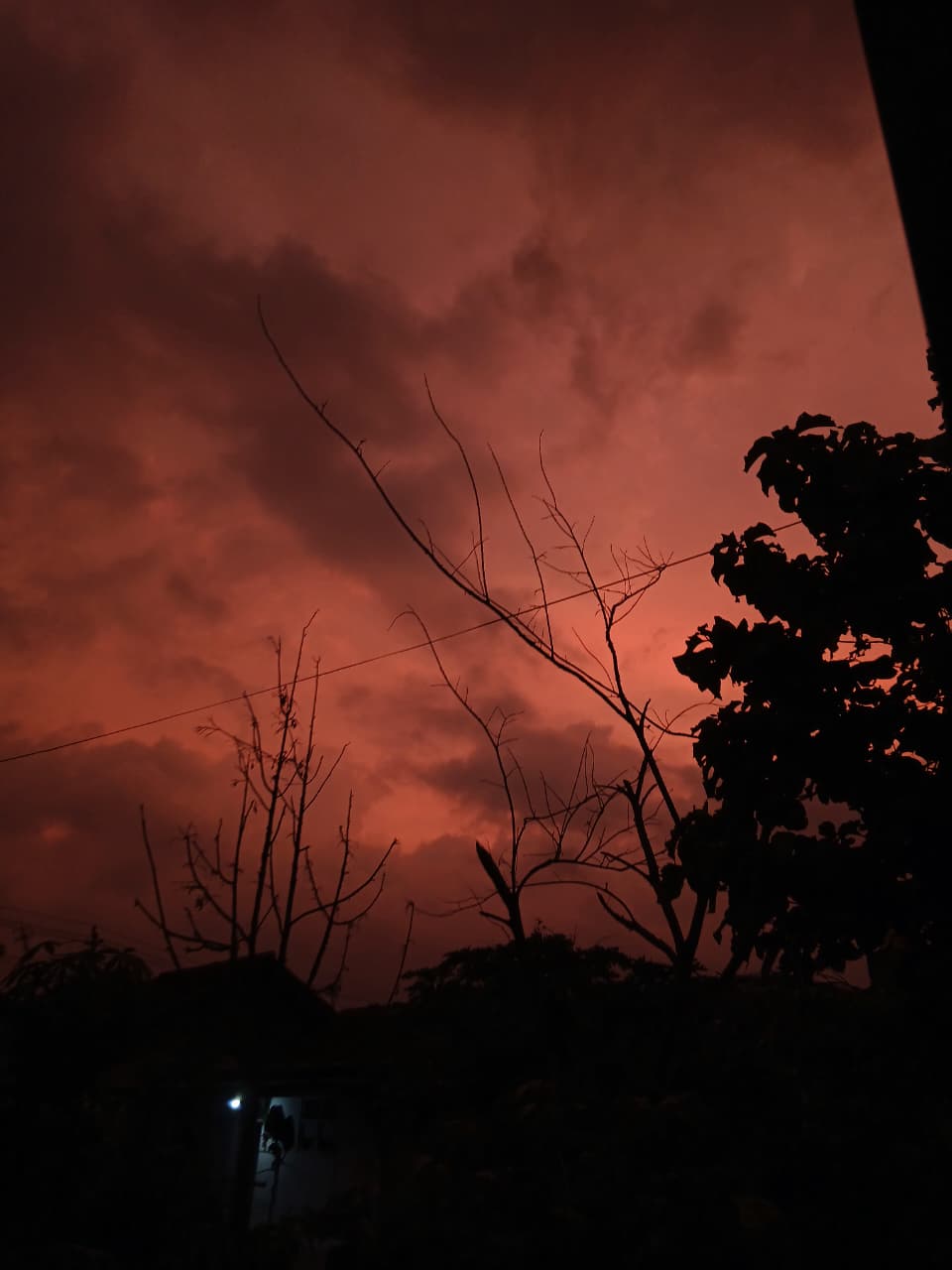 Photo 10 Image